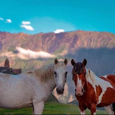 Mariami Hotell Kazbegi Exteriör bild