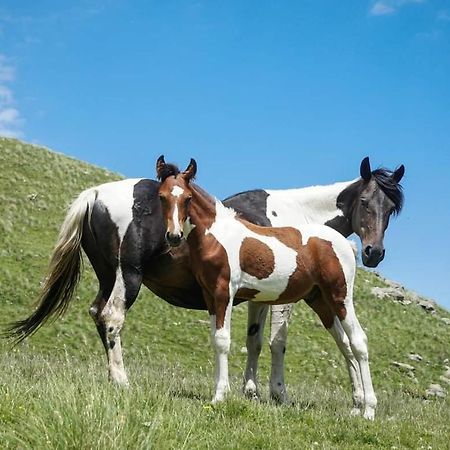 Mariami Hotell Kazbegi Exteriör bild
