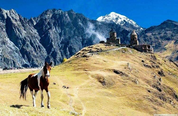 Mariami Hotell Kazbegi Exteriör bild