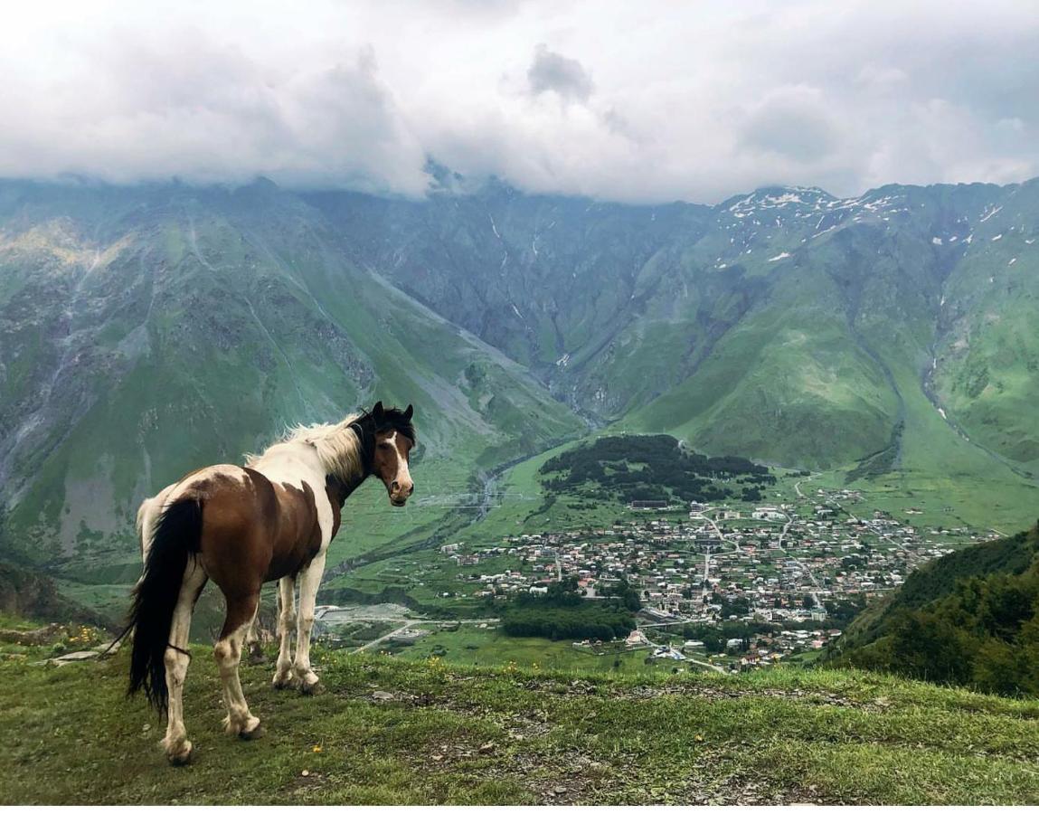 Mariami Hotell Kazbegi Exteriör bild